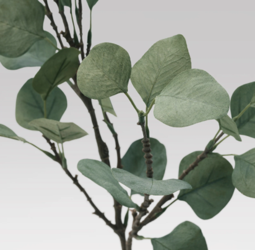 RAMAS, ARBOLES Y FOLLAJES