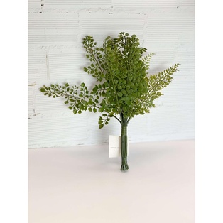 Bunch de culantrillo