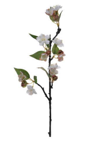 Flor de Manzana