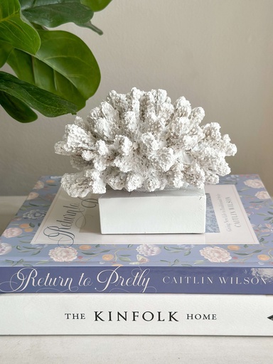 [20704] Pieza de coral blanco decorativo